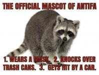968181C1-1ABC-4AFF-B158-358D9BF9E78C.jpeg