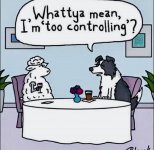 too controlling.jpg