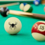 Spider.jpg