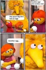 big bird.jpg