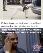 police dogs.jpg