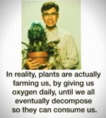 plants.jpg