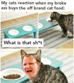 FB_IMG_1597351888793.jpg