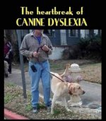 canine dyslexia.jpg