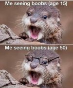 Boobs.jpg