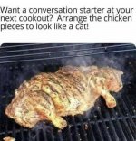 BBQ cat.jpg