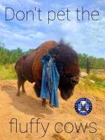 buffalo.jpg
