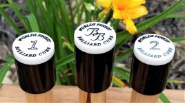 Black Boar Joint Protectors (1).jpg