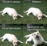 FB_IMG_1598116207621.jpg