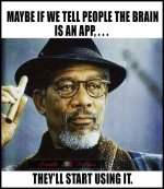 the brain.jpg