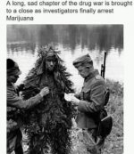 marijuana.jpg