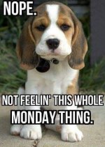 Monday 2.jpg