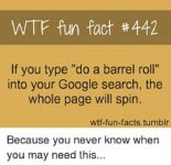 Barrel roll.jpg