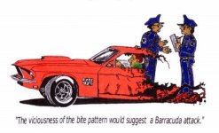 Mustang vs Barracuda - Copy.jpg