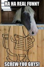 reading horse 2.jpg