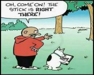 Dog gps.jpg