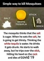 mosquito.jpg
