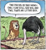 Litter boxxx.jpg