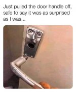 Surprised handle.jpg