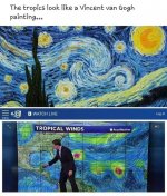 van Gogh.jpg