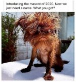 2020 Mascot.jpg