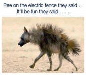 Pee on Fence.jpg