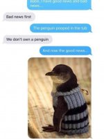 penguin.jpg