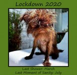 Lockdown 2020.jpg