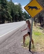 couar crossing.jpg
