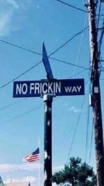 I think we made a wrong turn in Albuquerque.jpg