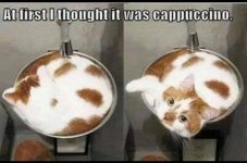 cappucino.jpg