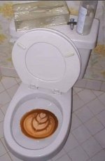 toilet.jpg