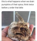 pumpkin.jpeg