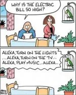 Alexa tv bird.jpg