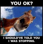 Stopping.jpg