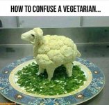 Confuse.jpg