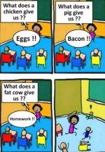 cow.jpg