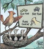 Bird Food.jpg