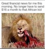 lion.jpg