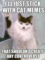 cats.jpg