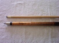 100_3127 (Medium) (Small).JPG