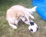 Chester and Daisey small.jpg