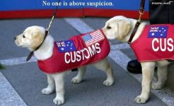 funny pics 12.jpg