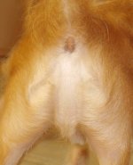 the lord appears in strange places.jpg
