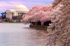 Jefferson Memorial.JPG
