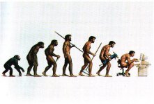 evolution.jpg