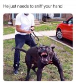 6f1ad47248d9c28aaf26ea8625002425.jpg