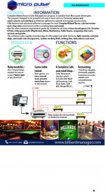 Micropulse BilliardManager Flyer1.jpg