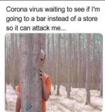 FB_IMG_1608858518356.jpg