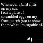 FB_IMG_1609015838413.jpg